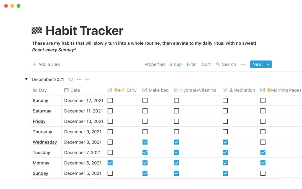Notion Habit Tracker Template